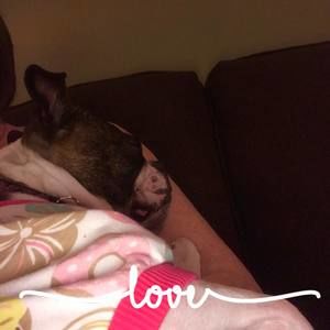 Meet your Posher, Donna